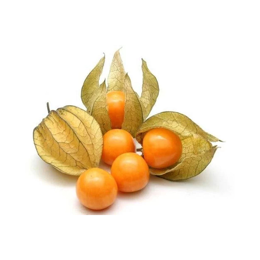 Uchuva Cape Gooseberry Pieces Pulp Fruit (3K) - Food Service